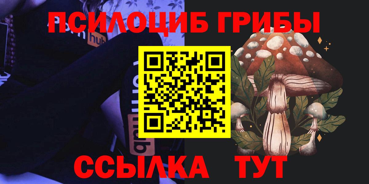 Псилоцибиновые грибы Cubensis Аксай